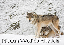 Kalender Mit dem Wolf durch's Jahr (Wandkalender 2022 DIN A3 quer) von Wilfried Martin