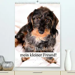 Kalender Der Dackel - mein kleiner Freund (Premium, hochwertiger DIN A2 Wandkalender 2022, Kunstdruck in Hochglanz) von Susann Kuhr