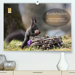 Kalender Eichhörnchen - Lustige Kurzgeschichten mit den quirligen Wildtieren (Premium, hochwertiger DIN A2 Wandkalender 2022, Kunstdruck in Hochglanz) von Birgit Cerny