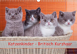 Kalender Katzenkinder Britisch Kurzhaar (Wandkalender 2022 DIN A3 quer) von Gabriela Wejat-Zaretzke