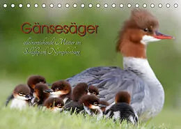 Kalender Gänsesäger - alleinerziehende Mütter im Schloßpark Nymphenburg (Tischkalender 2022 DIN A5 quer) von Martina Gebert