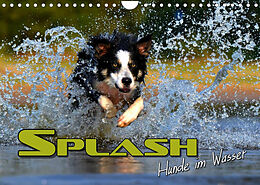 Kalender SPLASH - Hunde im Wasser (Wandkalender 2022 DIN A4 quer) von Renate Bleicher