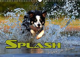 Kalender SPLASH - Hunde im Wasser (Wandkalender 2022 DIN A3 quer) von Renate Bleicher