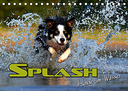 Kalender SPLASH - Hunde im Wasser (Tischkalender 2022 DIN A5 quer) von Renate Bleicher