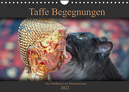 Kalender Taffe Begegnungen-Drei Waldkatzen auf Abenteuerreisen (Wandkalender 2022 DIN A4 quer) von Viktor Gross