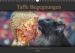 Kalender Taffe Begegnungen-Drei Waldkatzen auf Abenteuerreisen (Wandkalender 2022 DIN A3 quer) von Viktor Gross