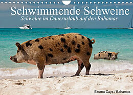 Kalender Schwimmende Schweine (Wandkalender 2022 DIN A4 quer) von Elisabeth Stanzer