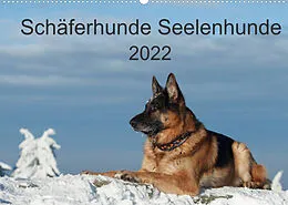 Kalender Schäferhunde SeelenhundeCH-Version (Wandkalender 2022 DIN A2 quer) von Petra Schiller