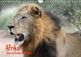 Kalender Afrika. Tiere in freier Wildbahn (Wandkalender 2022 DIN A4 quer) von Elisabeth Stanzer