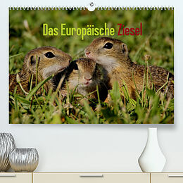 Kalender Das Europäische Ziesel (Premium, hochwertiger DIN A2 Wandkalender 2022, Kunstdruck in Hochglanz) von Winfried Erlwein