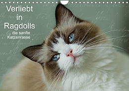 Kalender Verliebt in Ragdolls ... die sanfte Katzenrasse (Wandkalender 2022 DIN A4 quer) von Marion Reiß-Seibert
