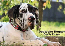 Kalender Deutsche Doggen - Sanfte Riesen (Wandkalender 2022 DIN A3 quer) von Marion Reiß - Seibert