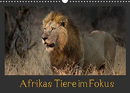 Kalender Afrikas Tiere im FokusAT-Version (Wandkalender 2022 DIN A3 quer) von Johann Schörkhuber