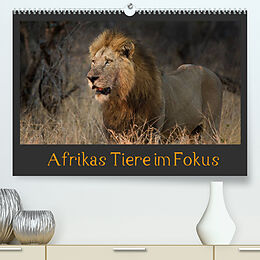 Kalender Afrikas Tiere im FokusAT-Version (Premium, hochwertiger DIN A2 Wandkalender 2022, Kunstdruck in Hochglanz) von Johann Schörkhuber