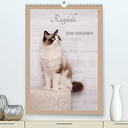 Kalender Ragdolls zum Verlieben (Premium, hochwertiger DIN A2 Wandkalender 2022, Kunstdruck in Hochglanz) von Marion Reiß-Seibert