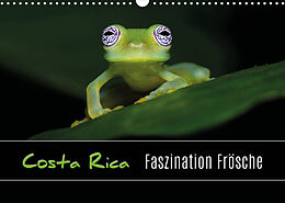 Kalender Costa Rica - Faszination Frösche (Wandkalender 2022 DIN A3 quer) von Kevin Eßer