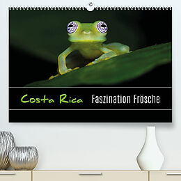 Kalender Costa Rica - Faszination Frösche (Premium, hochwertiger DIN A2 Wandkalender 2022, Kunstdruck in Hochglanz) von Kevin Eßer