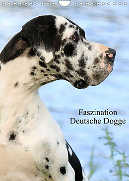 Kalender Faszination Deutsche Dogge (Wandkalender 2022 DIN A4 hoch) von Marion Reiß-Seibert