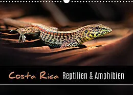 Kalender Costa Rica - Reptilien und Amphibien (Wandkalender 2022 DIN A3 quer) von Kevin Eßer
