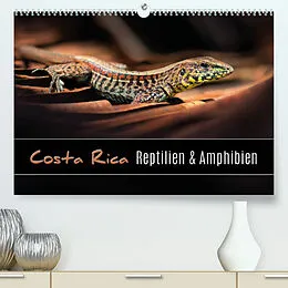 Kalender Costa Rica - Reptilien und Amphibien (Premium, hochwertiger DIN A2 Wandkalender 2022, Kunstdruck in Hochglanz) von Kevin Eßer