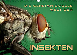 Kalender Die geheimnisvolle Welt der Insekten (Wandkalender 2022 DIN A3 quer) von Renate Bleicher