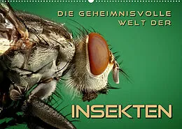 Kalender Die geheimnisvolle Welt der Insekten (Wandkalender 2022 DIN A2 quer) von Renate Bleicher