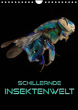 Kalender Schillernde Insektenwelt (Wandkalender 2022 DIN A4 hoch) von Renate Bleicher