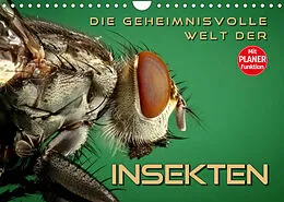 Kalender Die geheimnisvolle Welt der Insekten (Wandkalender 2022 DIN A4 quer) von Renate Bleicher
