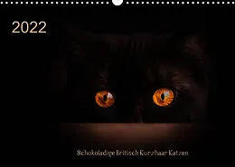 Kalender Schokoladige Britisch Kurzhaar Katzen (Wandkalender 2022 DIN A3 quer) von Janina Bürger