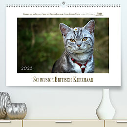 Kalender Schmusige Britisch Kurzhaar (Premium, hochwertiger DIN A2 Wandkalender 2022, Kunstdruck in Hochglanz) von Martina Wrede