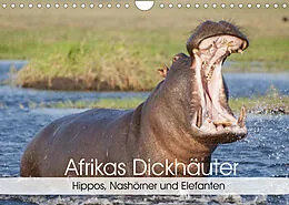 Kalender Afrikas Dickhäuter. Hippos, Nashörner und Elefanten (Wandkalender 2022 DIN A4 quer) von Elisabeth Stanzer