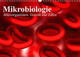 Kalender Mikrobiologie. Mikroorganismen, Genetik und Zellen (Wandkalender 2022 DIN A3 quer) von Elisabeth Stanzer