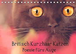 Kalender Britisch Kurzhaar Katzen - Poesie fürs Auge (Tischkalender 2022 DIN A5 quer) von Janina Bürger Wabi-Sabi Tierfotografie