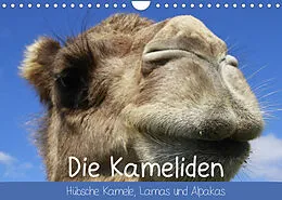 Kalender Die Kameliden. Hübsche Kamele, Lamas und Alpakas (Wandkalender 2022 DIN A4 quer) von Elisabeth Stanzer