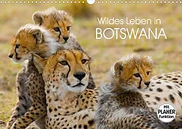 Kalender Wildes Leben in Botswana (Wandkalender 2022 DIN A3 quer) von Elisabeth Stanzer