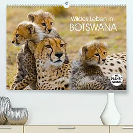 Kalender Wildes Leben in Botswana (Premium, hochwertiger DIN A2 Wandkalender 2022, Kunstdruck in Hochglanz) von Elisabeth Stanzer