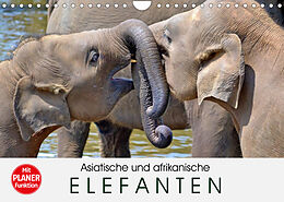Kalender Asiatische und afrikanische Elefanten (Wandkalender 2022 DIN A4 quer) von Elisabeth Stanzer