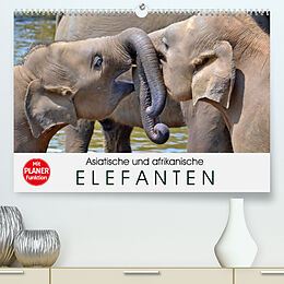 Kalender Asiatische und afrikanische Elefanten (Premium, hochwertiger DIN A2 Wandkalender 2022, Kunstdruck in Hochglanz) von Elisabeth Stanzer