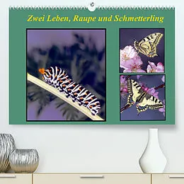 Kalender Zwei Leben, Raupe und Schmetterling (Premium, hochwertiger DIN A2 Wandkalender 2022, Kunstdruck in Hochglanz) von Lothar Reupert