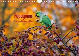 Kalender Papageien - Frech, schön und schlau (Wandkalender 2022 DIN A4 quer) von Michael Voß