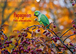 Kalender Papageien - Frech, schön und schlau (Wandkalender 2022 DIN A3 quer) von Michael Voß