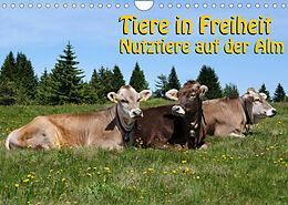 Kalender Tiere in Freiheit - Nutztiere auf der Alm (Wandkalender 2022 DIN A4 quer) von Georg Niederkofler