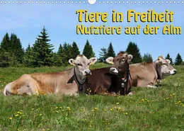 Kalender Tiere in Freiheit - Nutztiere auf der Alm (Wandkalender 2022 DIN A3 quer) von Georg Niederkofler