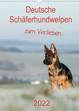 Kalender Deutsche Schäferhundwelpen zum Verlieben (Wandkalender 2022 DIN A3 hoch) von Petra Schiller
