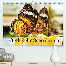 Kalender Geflügelte Schönheiten (Premium, hochwertiger DIN A2 Wandkalender 2022, Kunstdruck in Hochglanz) von Dimo Tabken