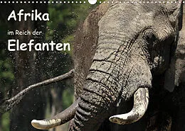 Kalender Afrika - im Reich der Elefanten (Wandkalender 2022 DIN A3 quer) von Michael Herzog
