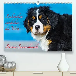 Kalender Seebärchen entdecken die Welt - Berner Sennenhunde (Premium, hochwertiger DIN A2 Wandkalender 2022, Kunstdruck in Hochglanz) von Sigrid Starick