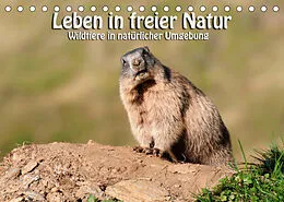 Kalender Leben in freier Natur - Wildtiere in natürlicher Umgebung (Tischkalender 2022 DIN A5 quer) von Georg Niederkofler