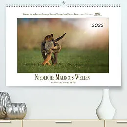 Kalender Niedliche Malinois Welpen (Premium, hochwertiger DIN A2 Wandkalender 2022, Kunstdruck in Hochglanz) von Martina Wrede