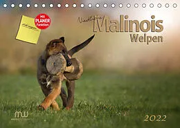 Kalender Niedliche Malinois Welpen (Tischkalender 2022 DIN A5 quer) von Martina Wrede